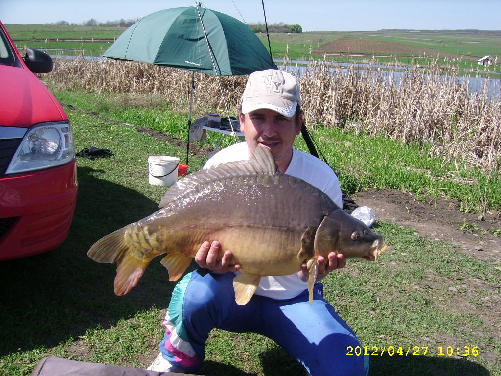 cristi - ssa503971.JPG